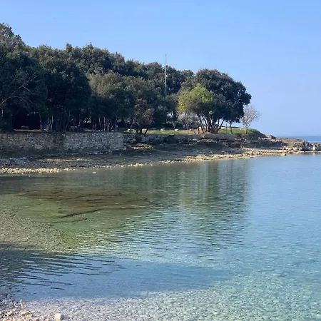 Luxury House Вилла