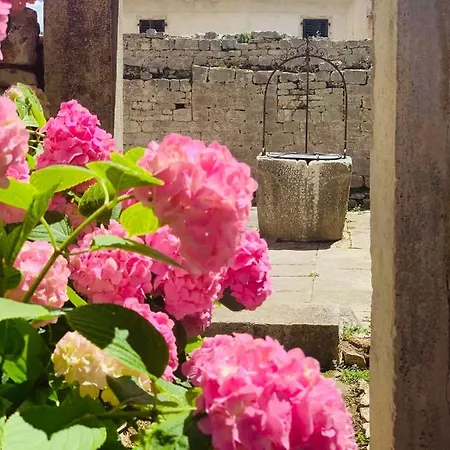 Luxury House Вилла