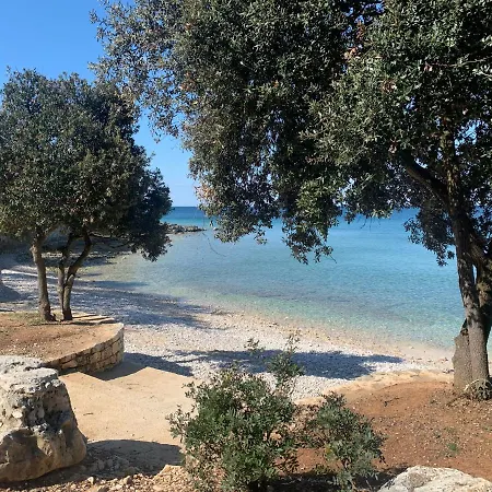 Luxury House Вилла *