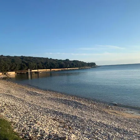 Villa Luxury House Bale