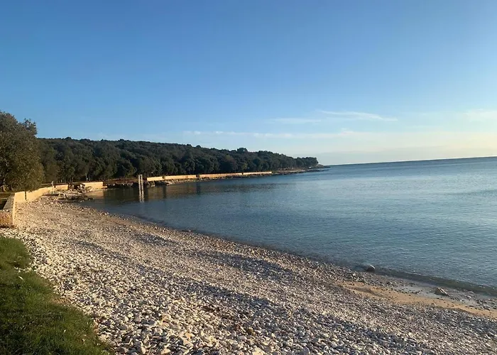 Villa Luxury House Bale